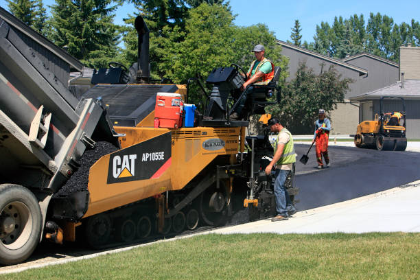 Best Custom Driveway Pavers  in Cleveland, AL